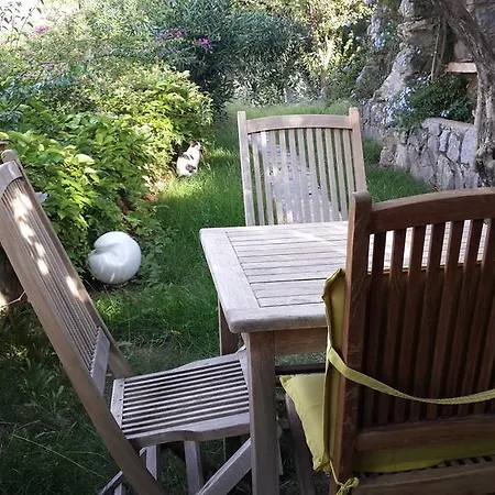 Affittacamere Antik Zeytin & Art