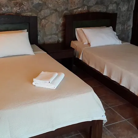 Antik Zeytin & Art Golturkbuku