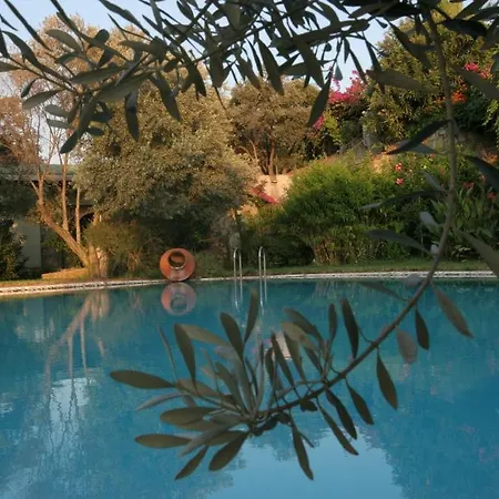 Antik Zeytin & Art Gasthof Göltürkbükü