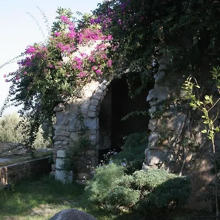 Antik Zeytin & Art 3* Göltürkbükü