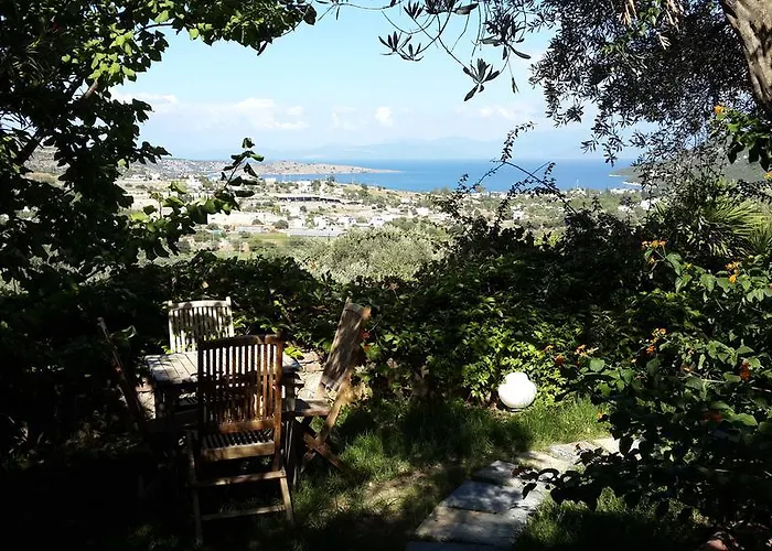 Gasthuis Antik Zeytin & Art