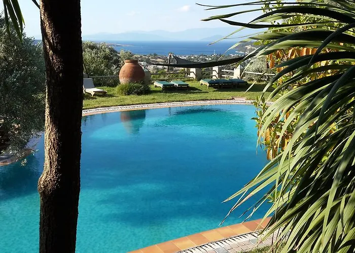 Gasthuis Antik Zeytin & Art 3*