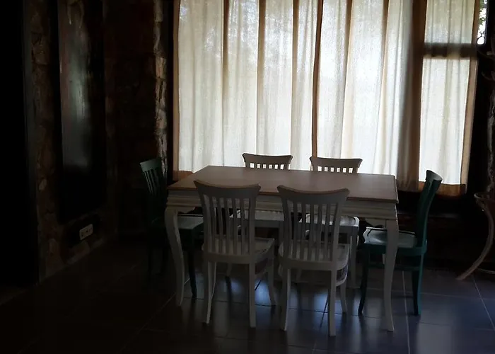 Antik Zeytin & Art Göltürkbükü