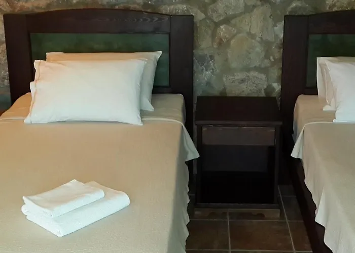 Gasthuis Antik Zeytin & Art