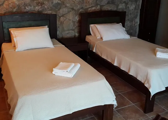 Antik Zeytin & Art Göltürkbükü