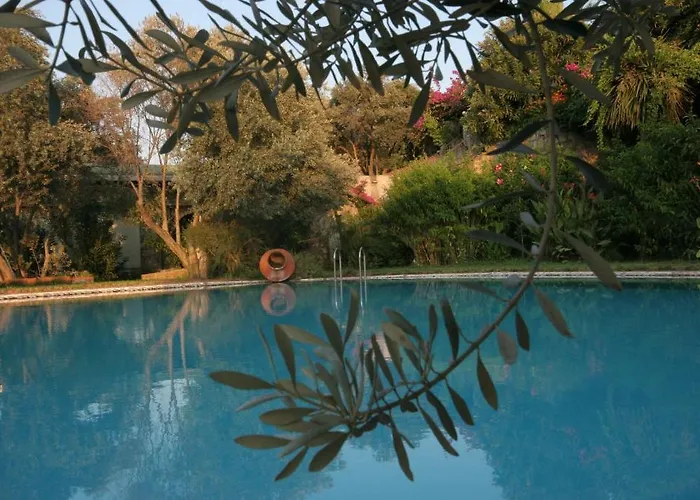 Antik Zeytin & Art Gasthuis Göltürkbükü