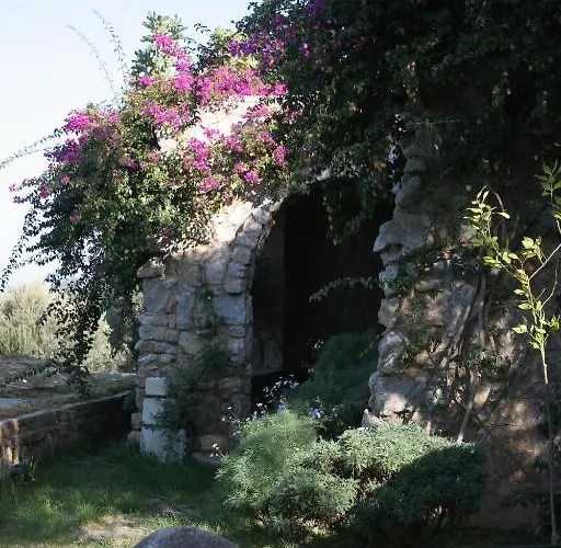 Antik Zeytin & Art 3* Göltürkbükü